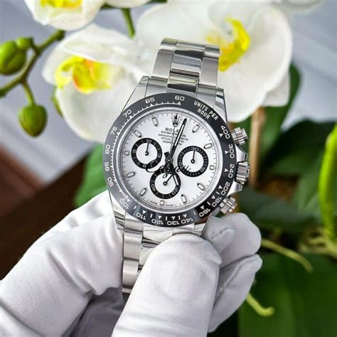 rolex daytona animal|rolex oyster perpetual panda.